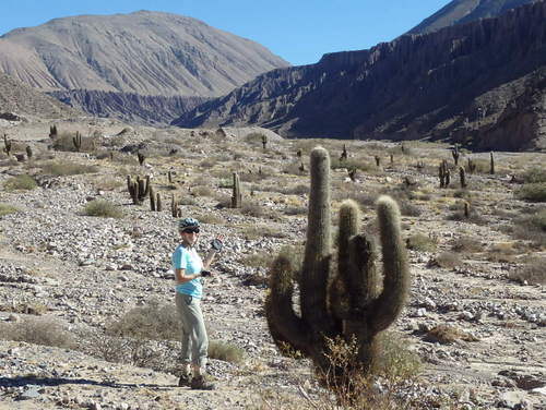 My favorite stoker gives some scale to the Pasacana Cactus.